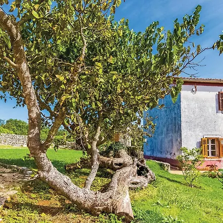 Luxurious In Garica