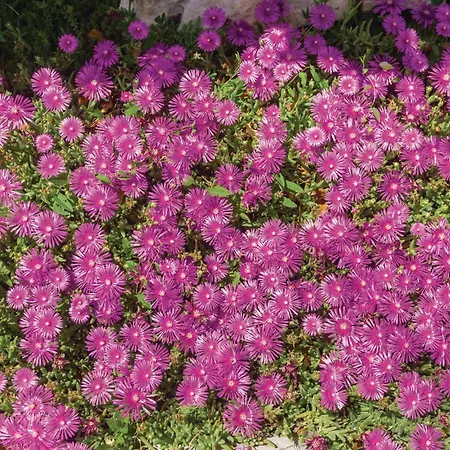 Ferienhaus Lovely In With Wifi