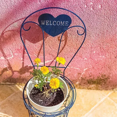 Lovely In With Wifi Garica